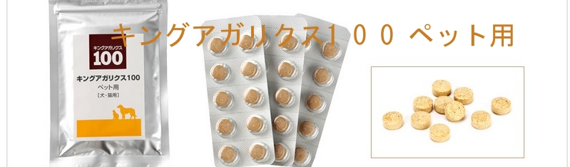 �y�b�g�p�v���~�A���T�v���I�y�L���O�A�K���N�X100�y�b�g�p�z���T�C�g